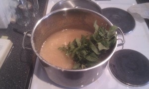 Boiling apple pulp with bunch of mint